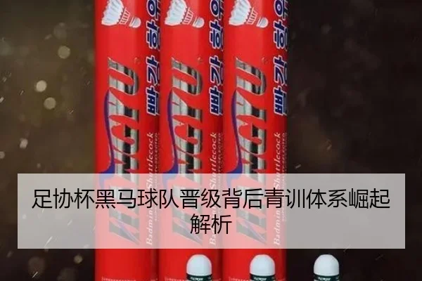 足协杯黑马球队晋级背后青训体系崛起解析